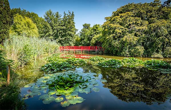 Parc Floral de la Court d'Aron