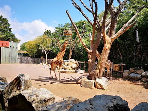 Zoo des Sables d'Olonne