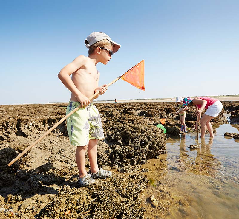  © Alexandre LAMOUREUX