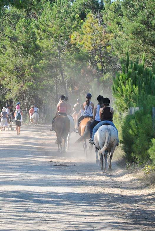 Cavaliers et promeneurs sur un chemin vers le bord de mer depuis le camping Les Écureuils