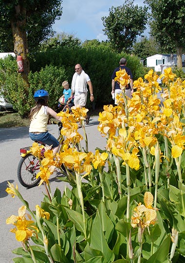 Fleurs sur une allée du camping Les Écureuils en Vendée près de Saint-Jean-de-Monts